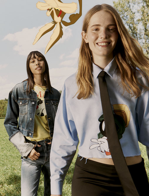 3 LOONEY TUNES DESKTOP 507x668 Maxandco